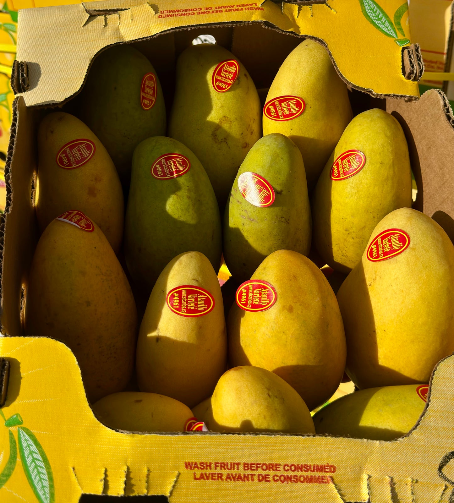 Sweet Yellow Mango ( 2-pieces)