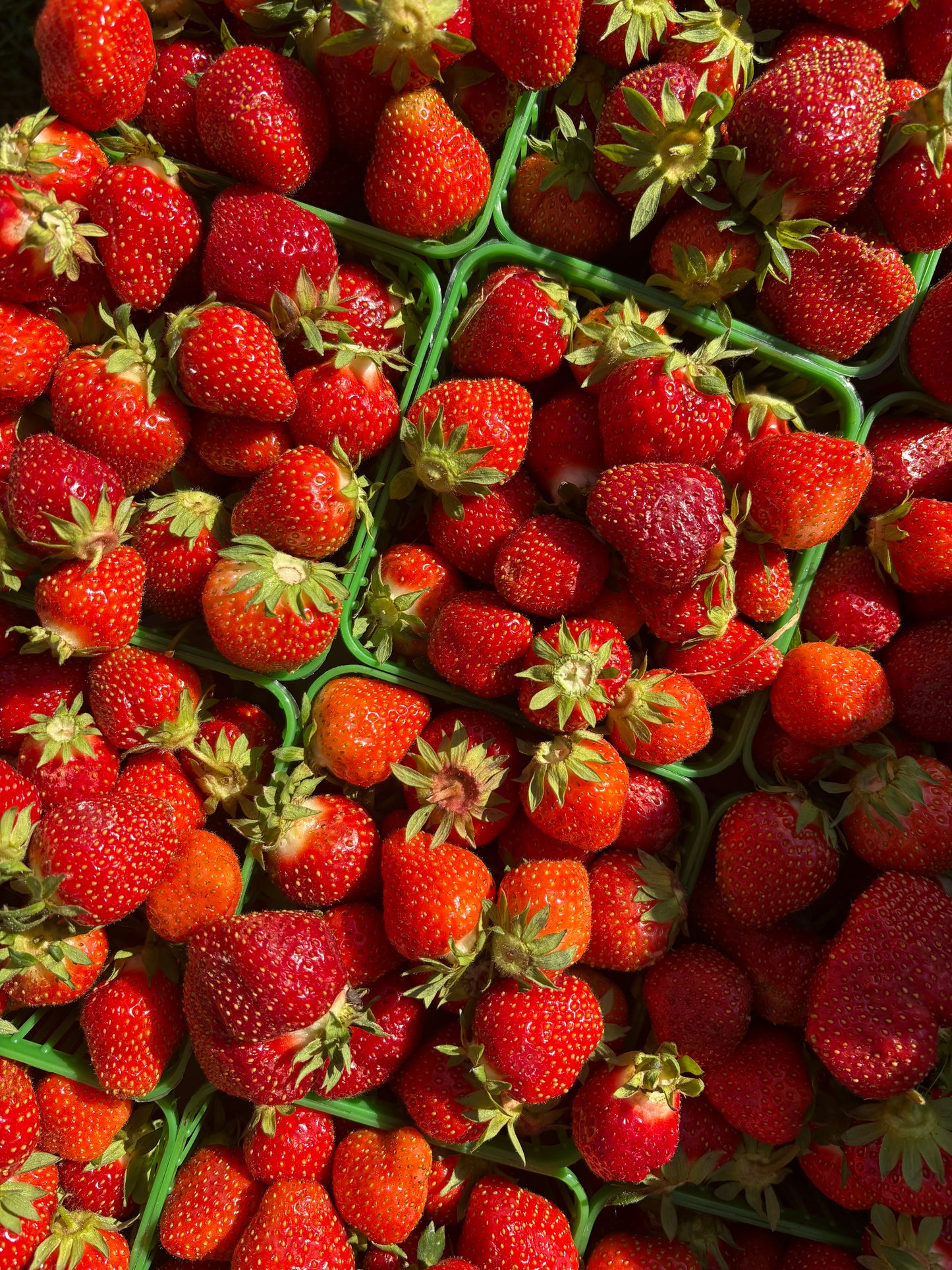 ONTARIO Strawberries (1-quart)