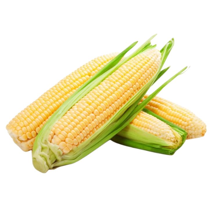 Sweet Corn (6 pieces)