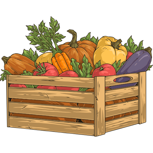 Market Surprise Box