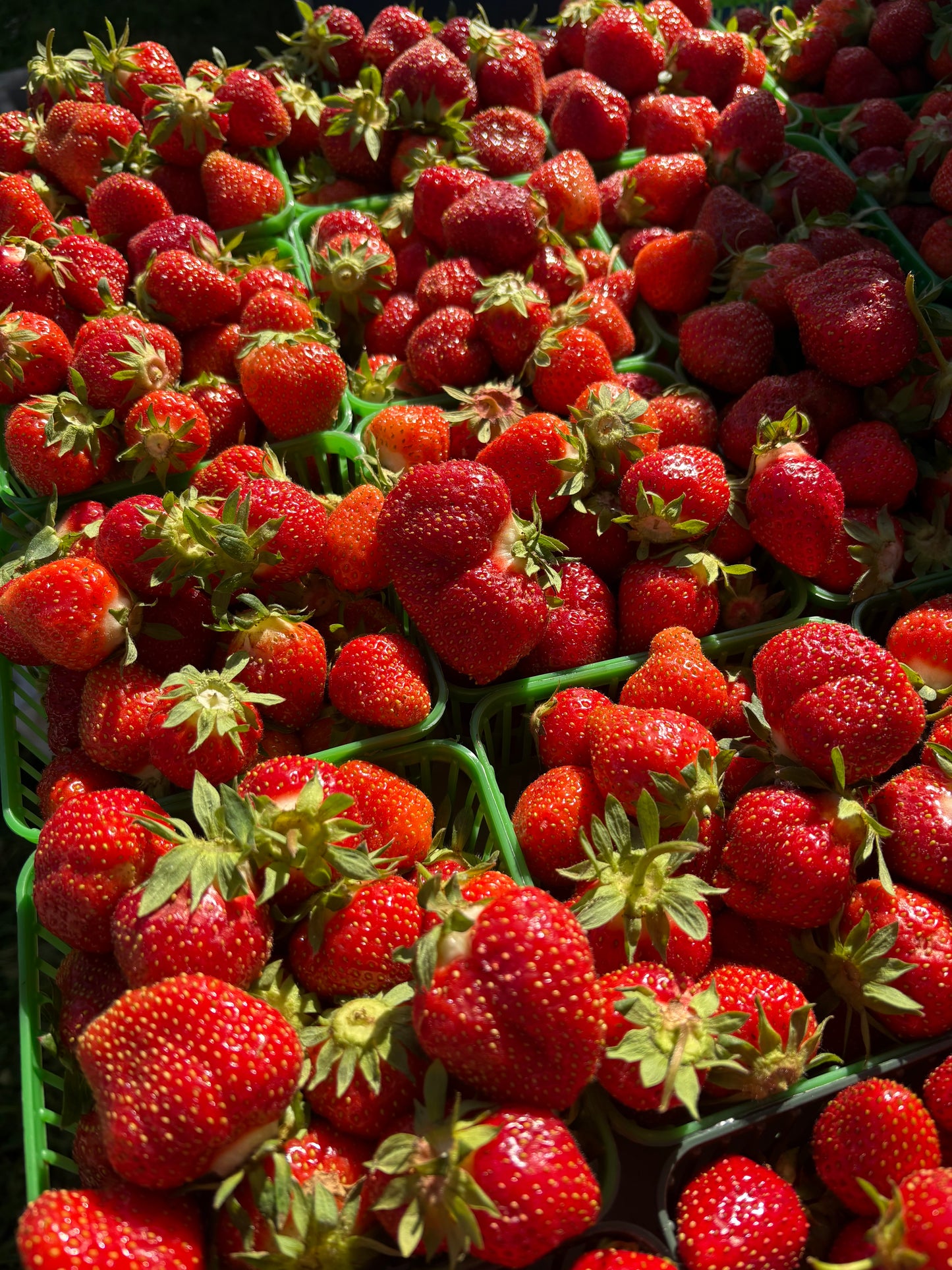 🍓MONDAY PICK UP SWEET LOCAL STRAWBERRIES (6X1).