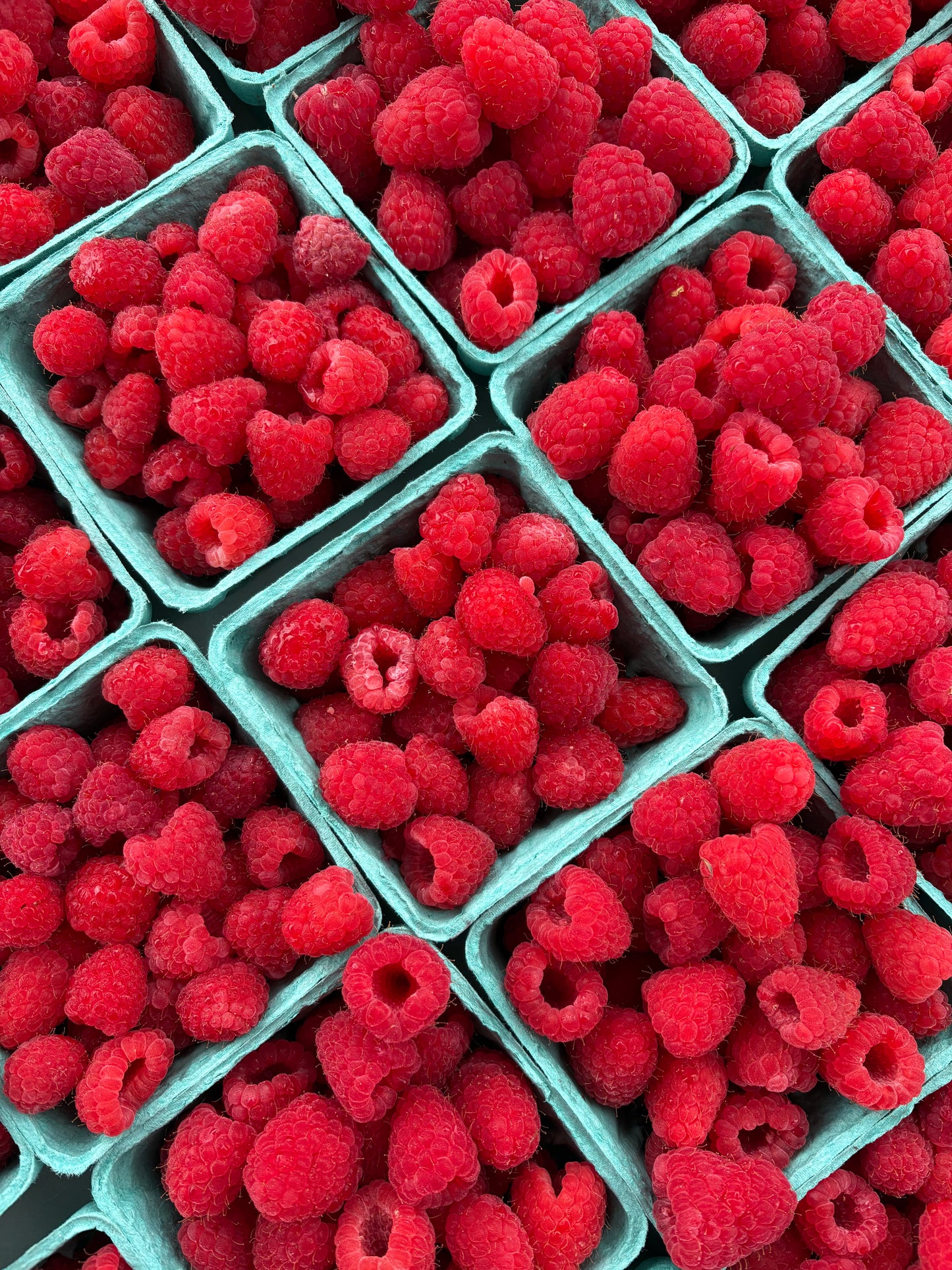 ONTARIO Raspberries Flat (12)