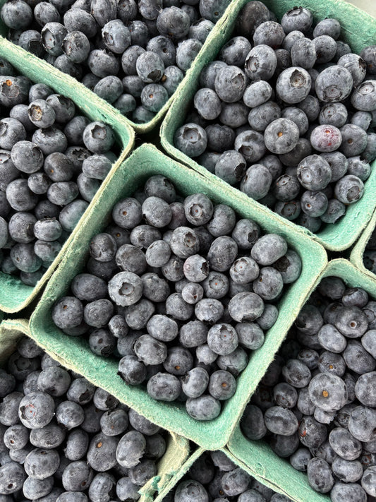 Crunchy sweet Blueberry (1)