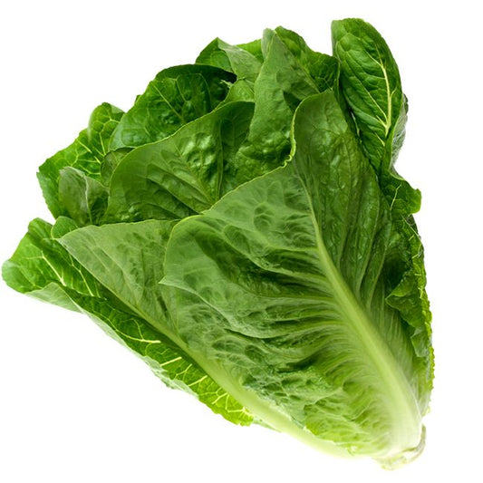 Local romaine lettuce