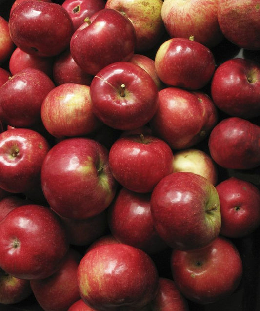 Fuji apples ( 6 pieces)