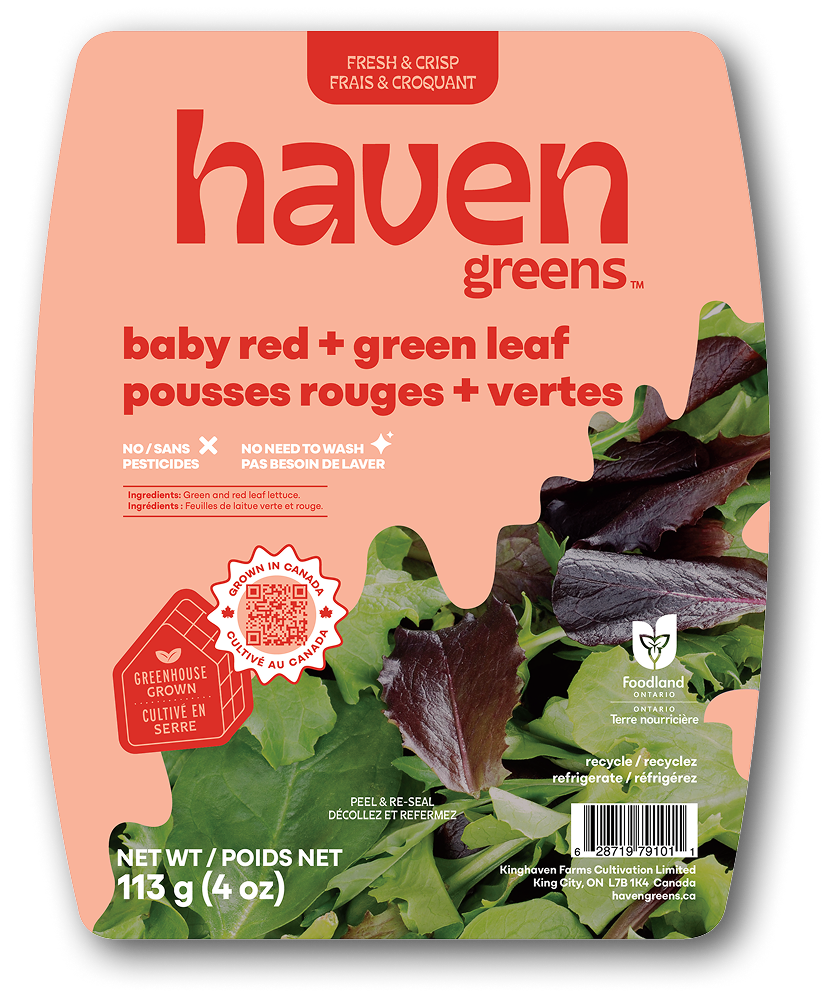 Local Green leaf lettuce Ontario
