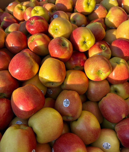 Ambrosia Apples (10 Apples) Jumbo size!