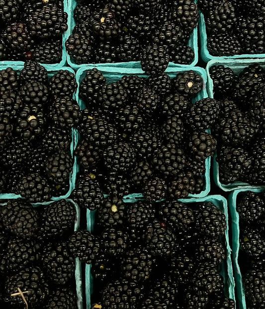 Blackberries (2-pack)