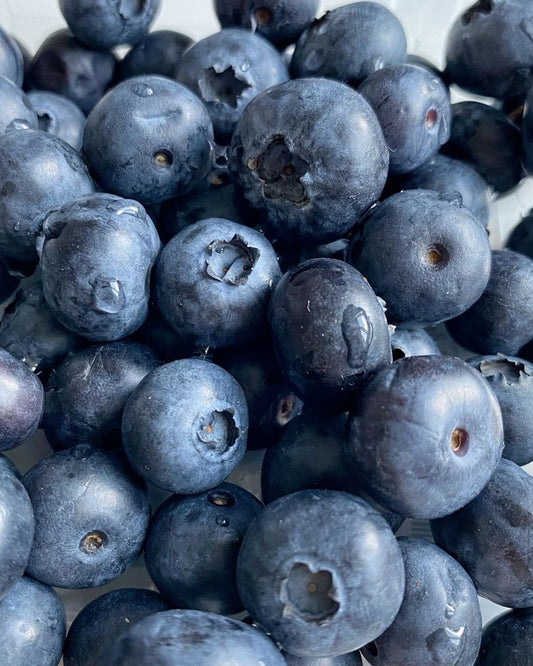 Blueberries (2-pack)