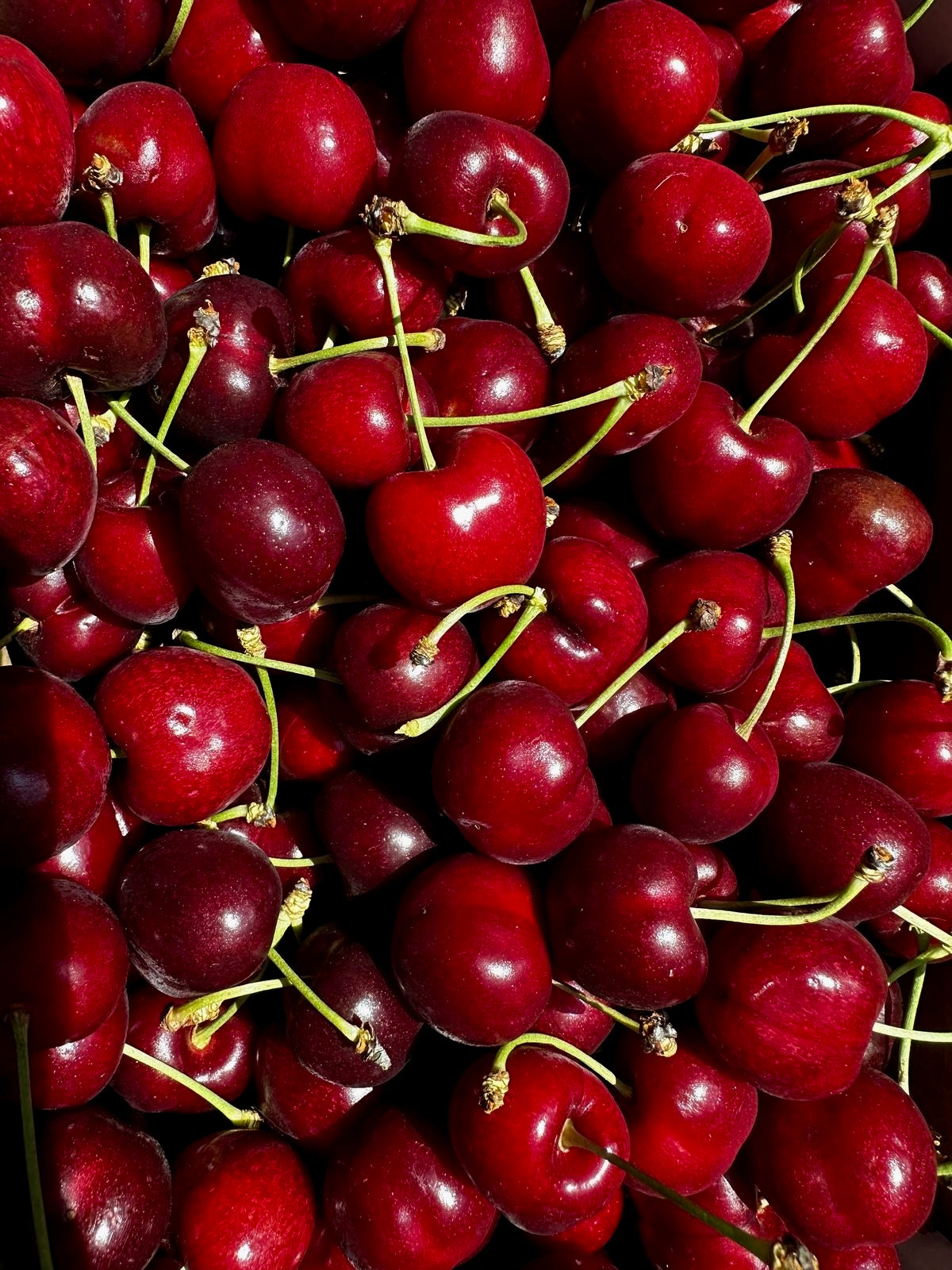 Sweet Cherry (3bag)