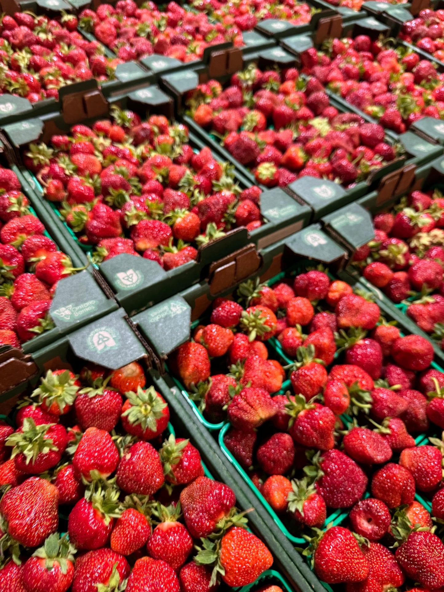 🍓MONDAY PICKUP SWEET LOCAL STRAWBERRIES (6X1).