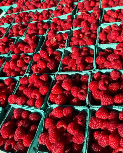 Raspberries (Pack)