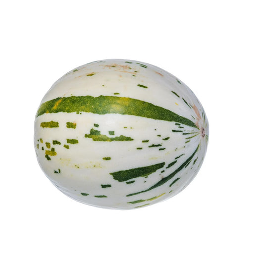 Dino melon